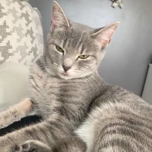 Meet your Posher, Holly